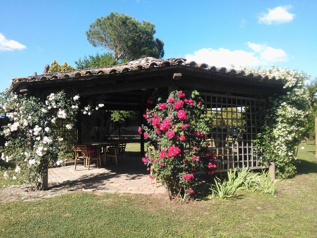 Il Casale Dell'Ara Delle Rose B&B - Rome — Photos 1